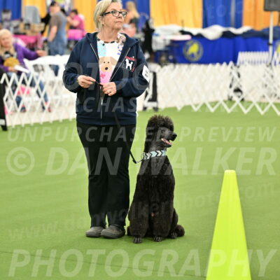 Ring-3-Afternoon-Obedience_2260