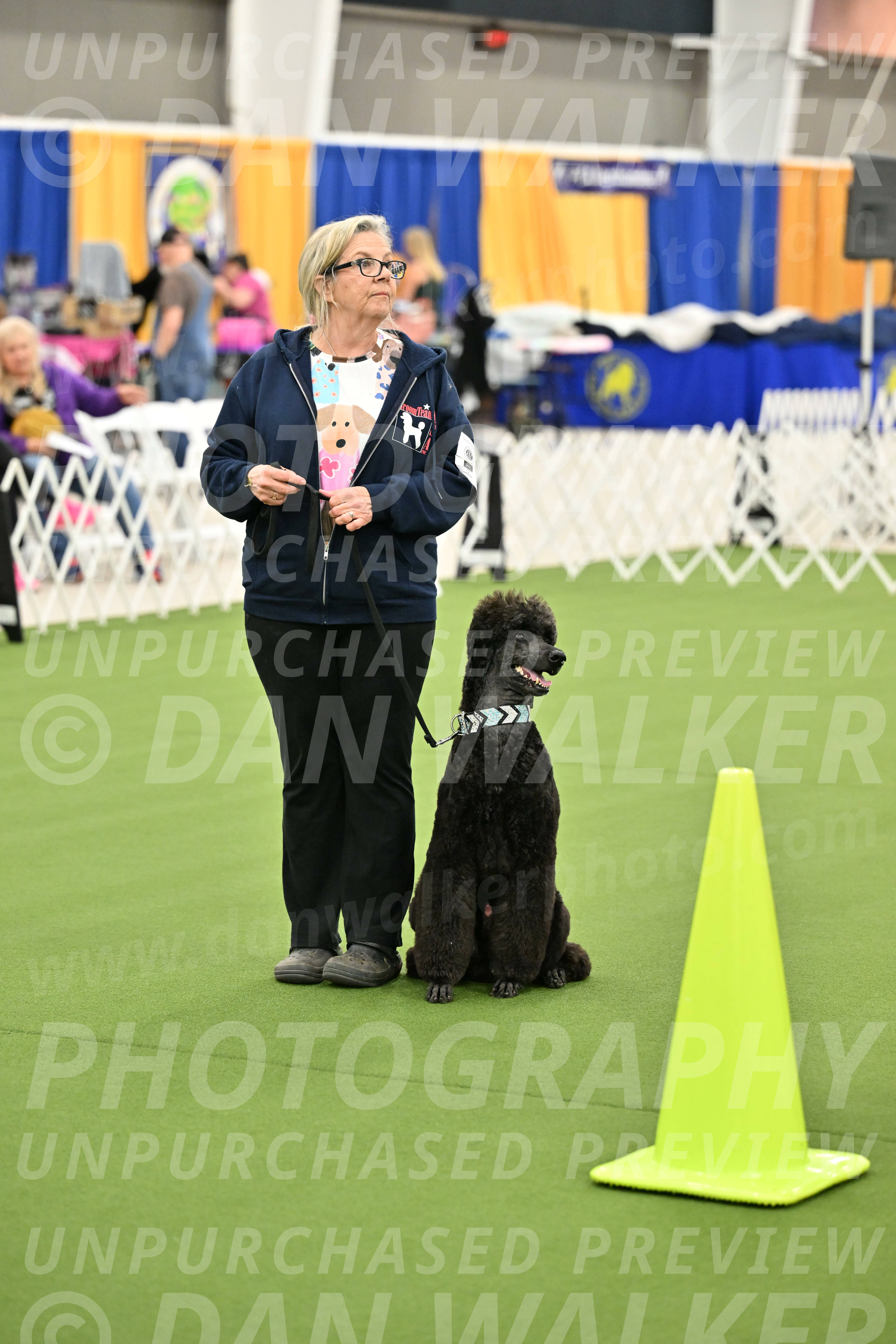 Ring-3-Afternoon-Obedience_2260