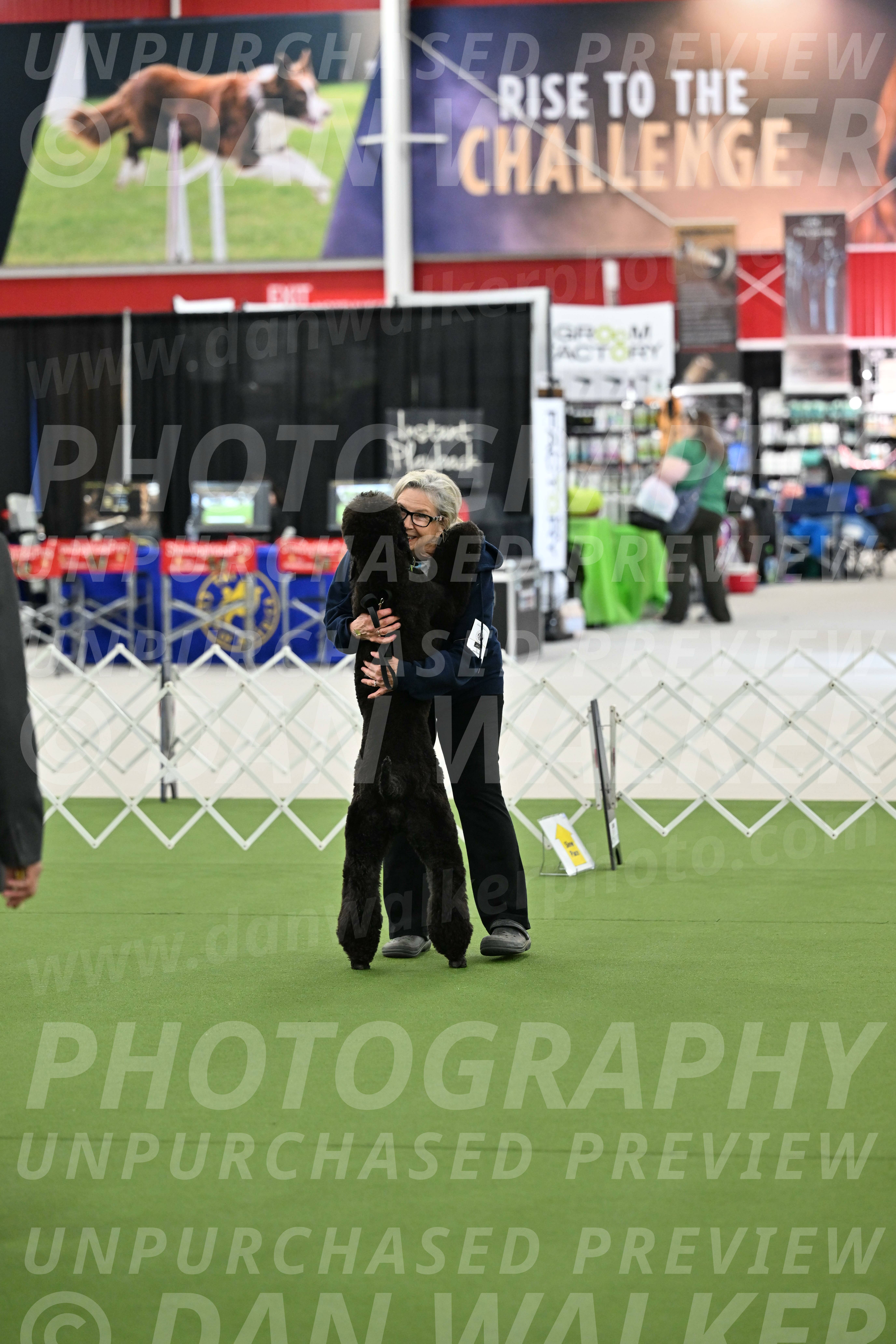 Ring-3-Afternoon-Obedience_2285