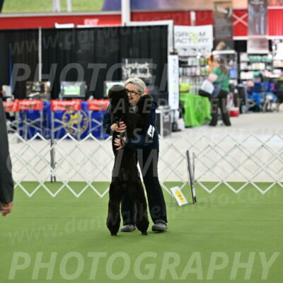 Ring-3-Afternoon-Obedience_2285