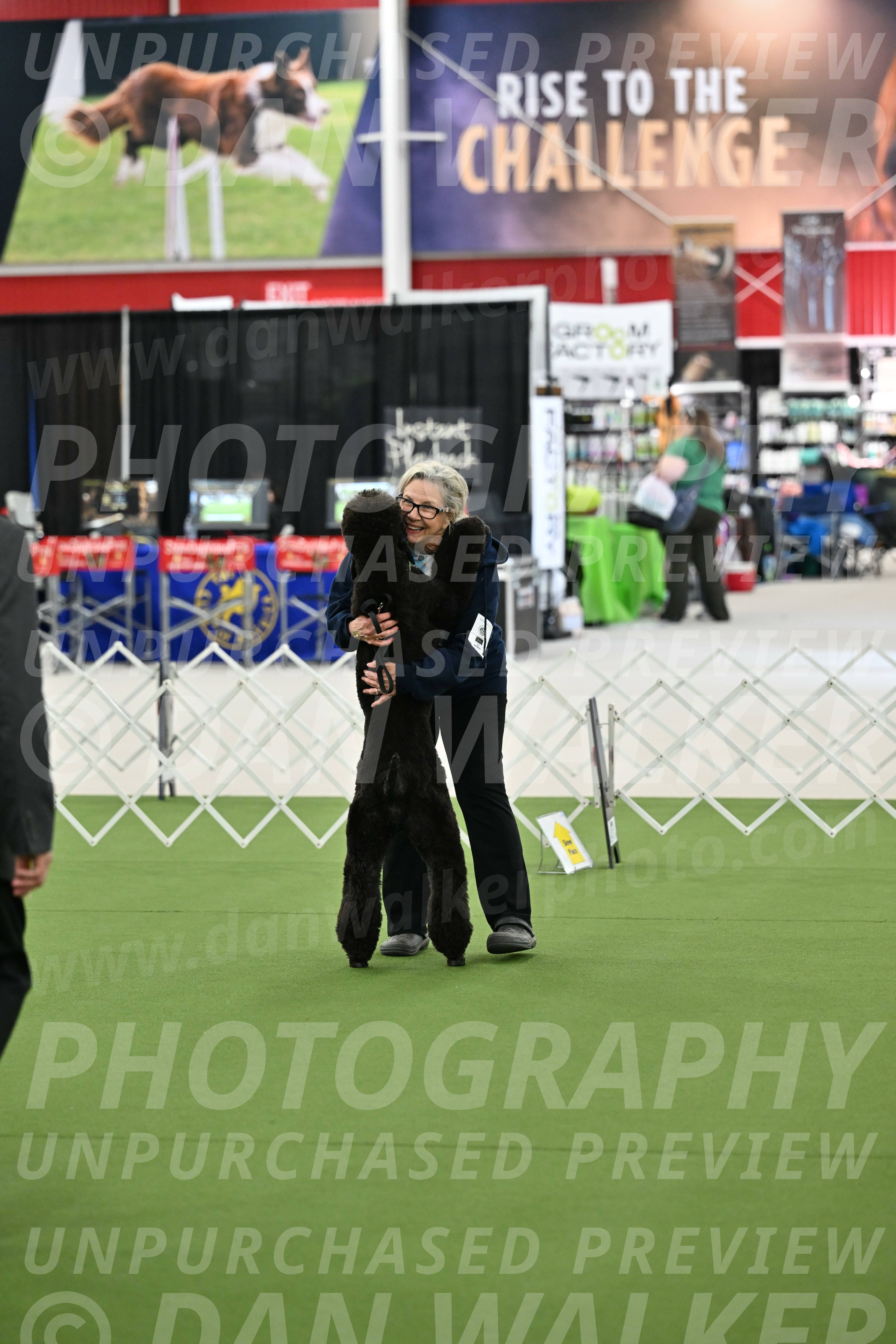 Ring-3-Afternoon-Obedience_2286