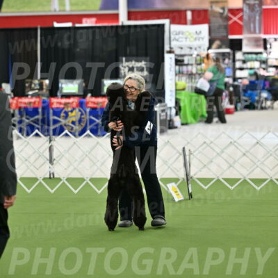 Ring-3-Afternoon-Obedience_2286