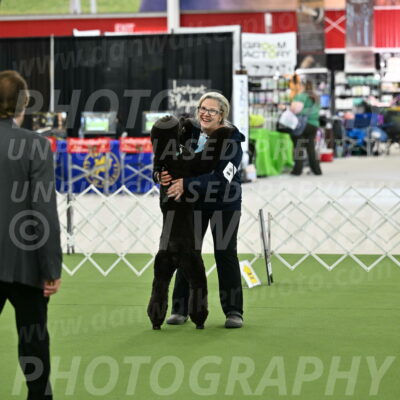 Ring-3-Afternoon-Obedience_2287