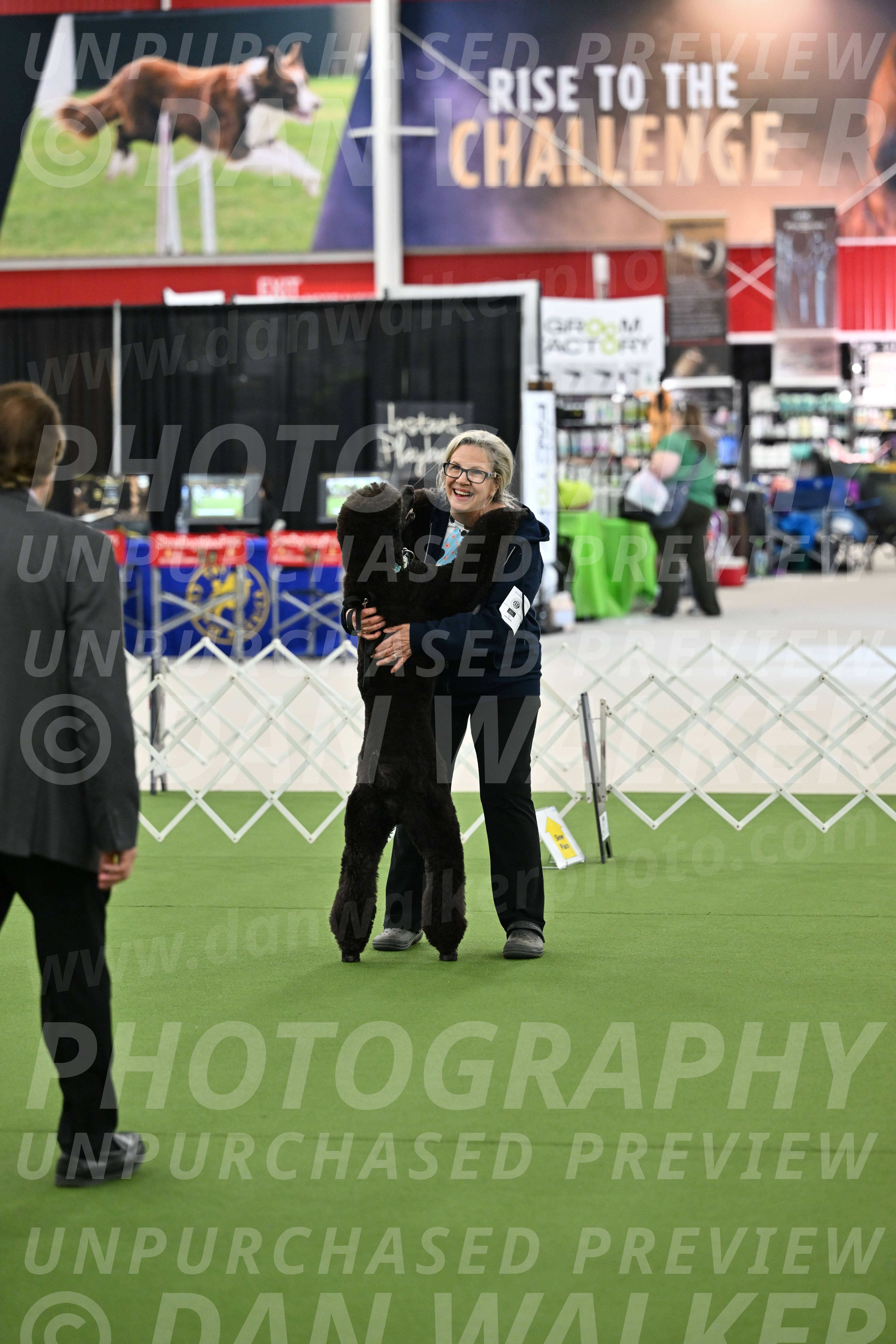 Ring-3-Afternoon-Obedience_2287