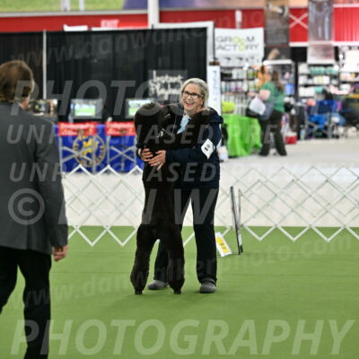 Ring-3-Afternoon-Obedience_2288