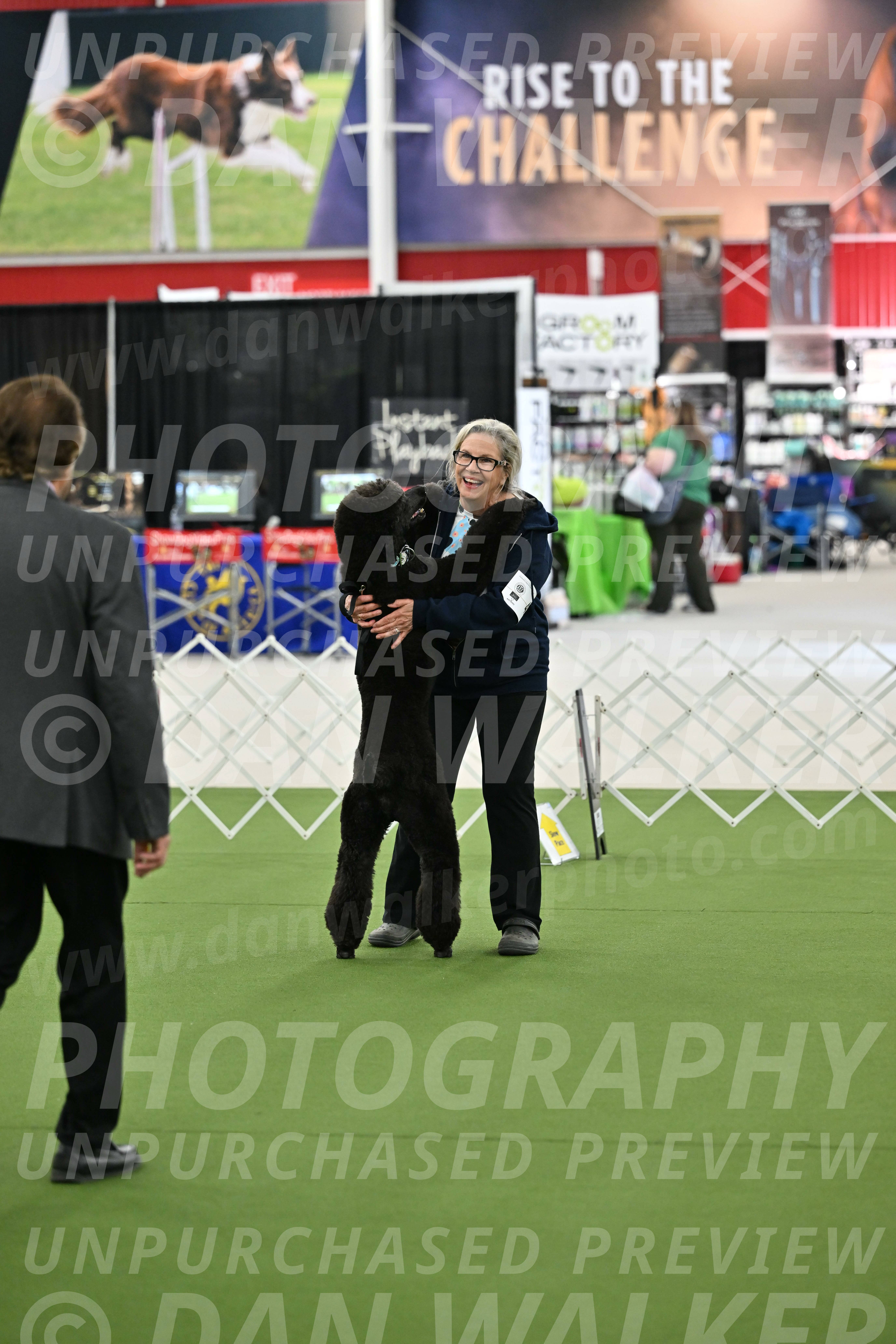 Ring-3-Afternoon-Obedience_2288