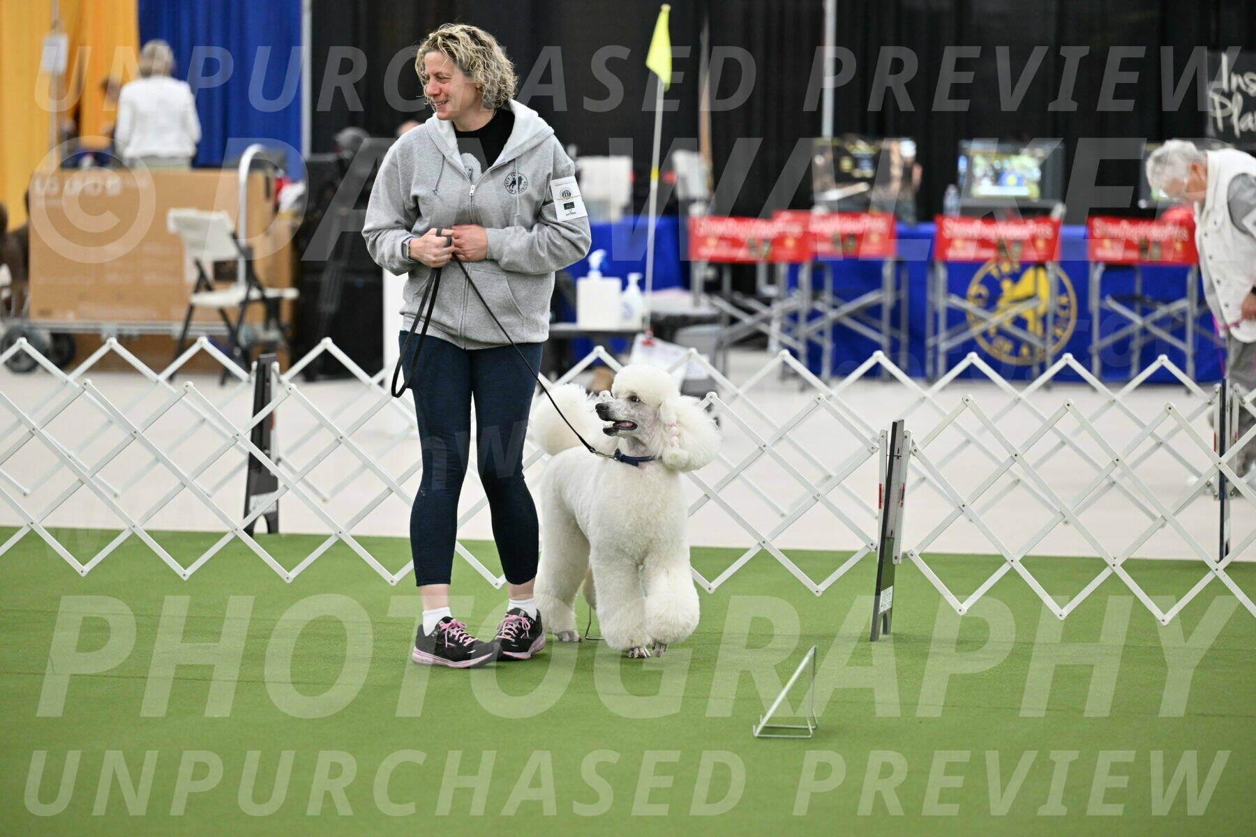 Ring-3-Afternoon-Obedience_2294