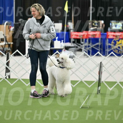 Ring-3-Afternoon-Obedience_2294