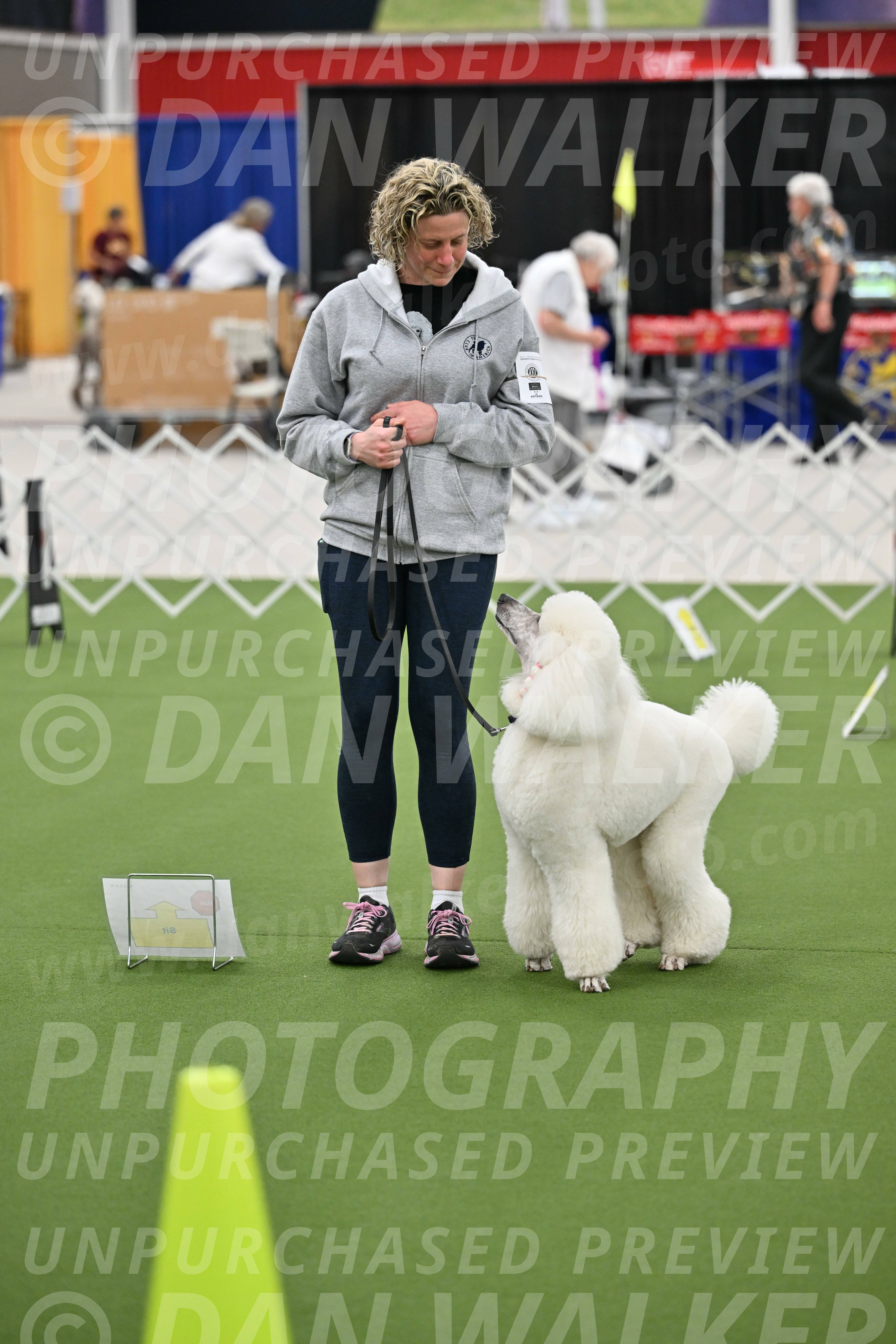 Ring-3-Afternoon-Obedience_2296