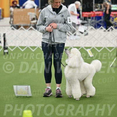 Ring-3-Afternoon-Obedience_2296