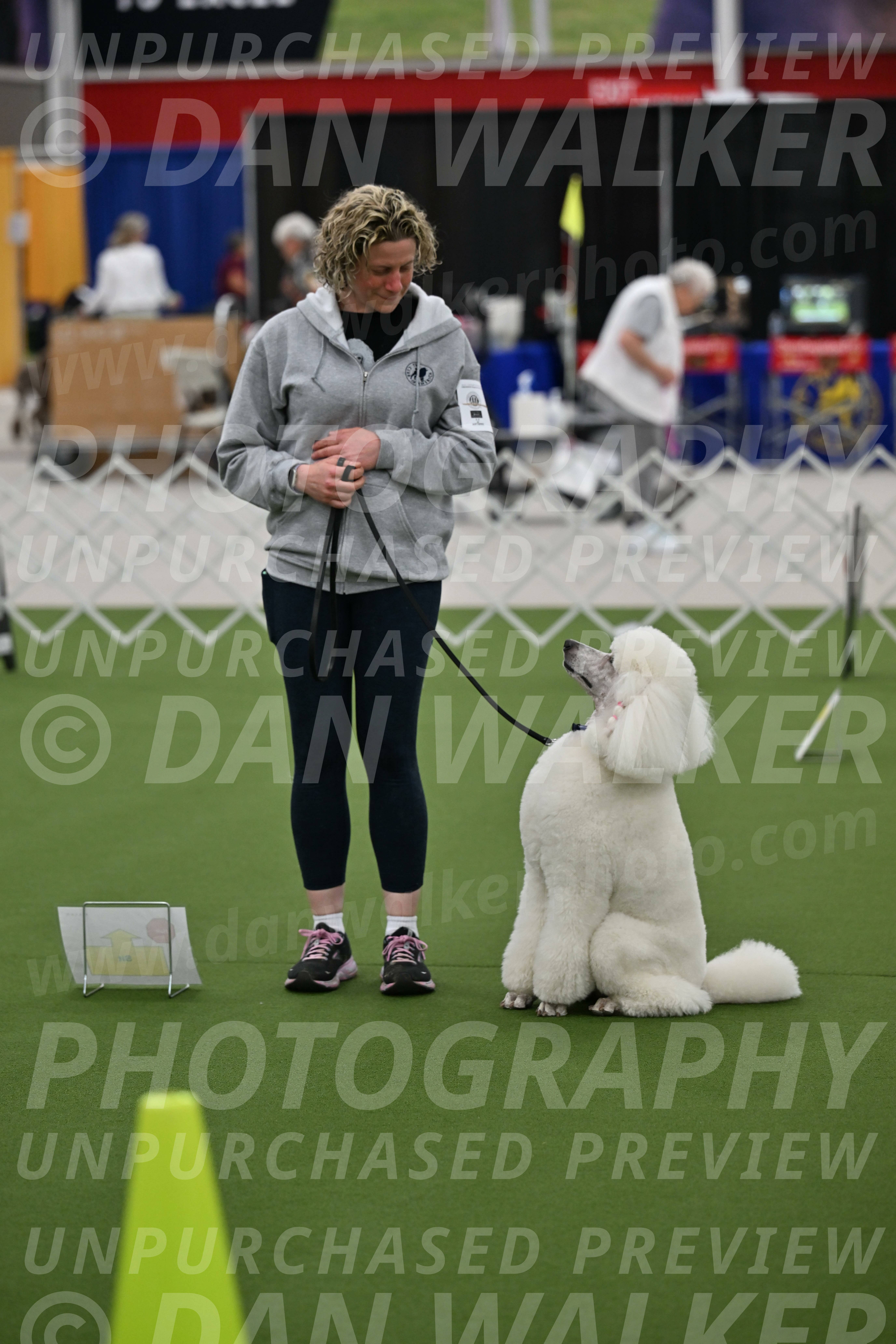 Ring-3-Afternoon-Obedience_2298