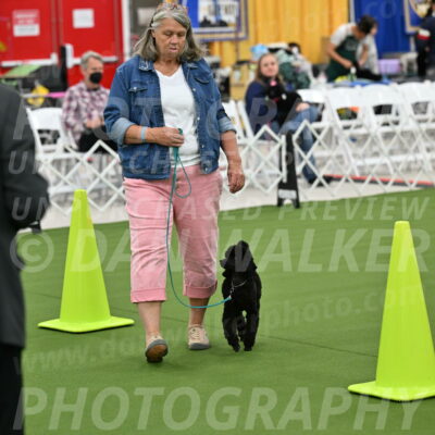 Ring-3-Afternoon-Obedience_2347
