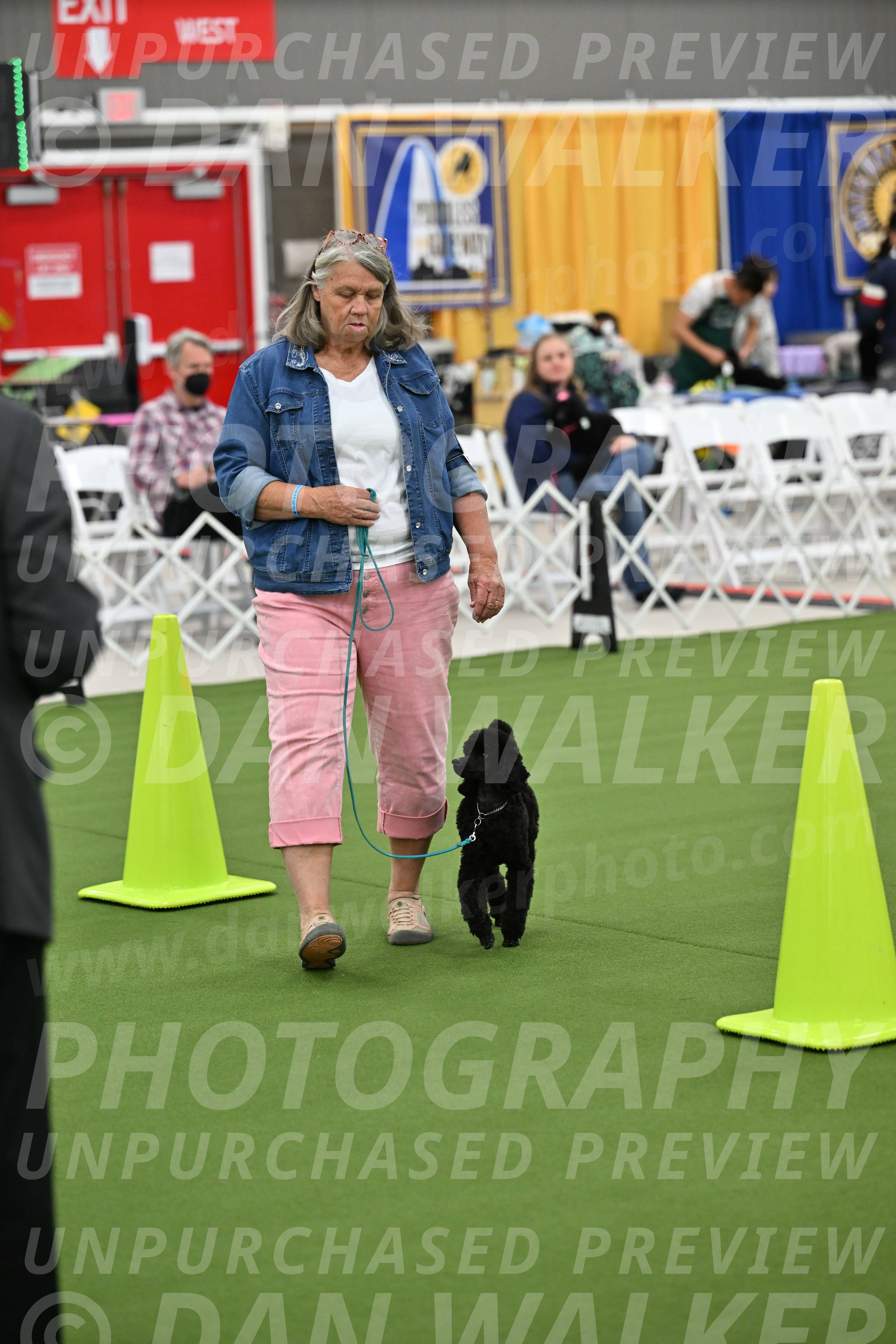 Ring-3-Afternoon-Obedience_2347