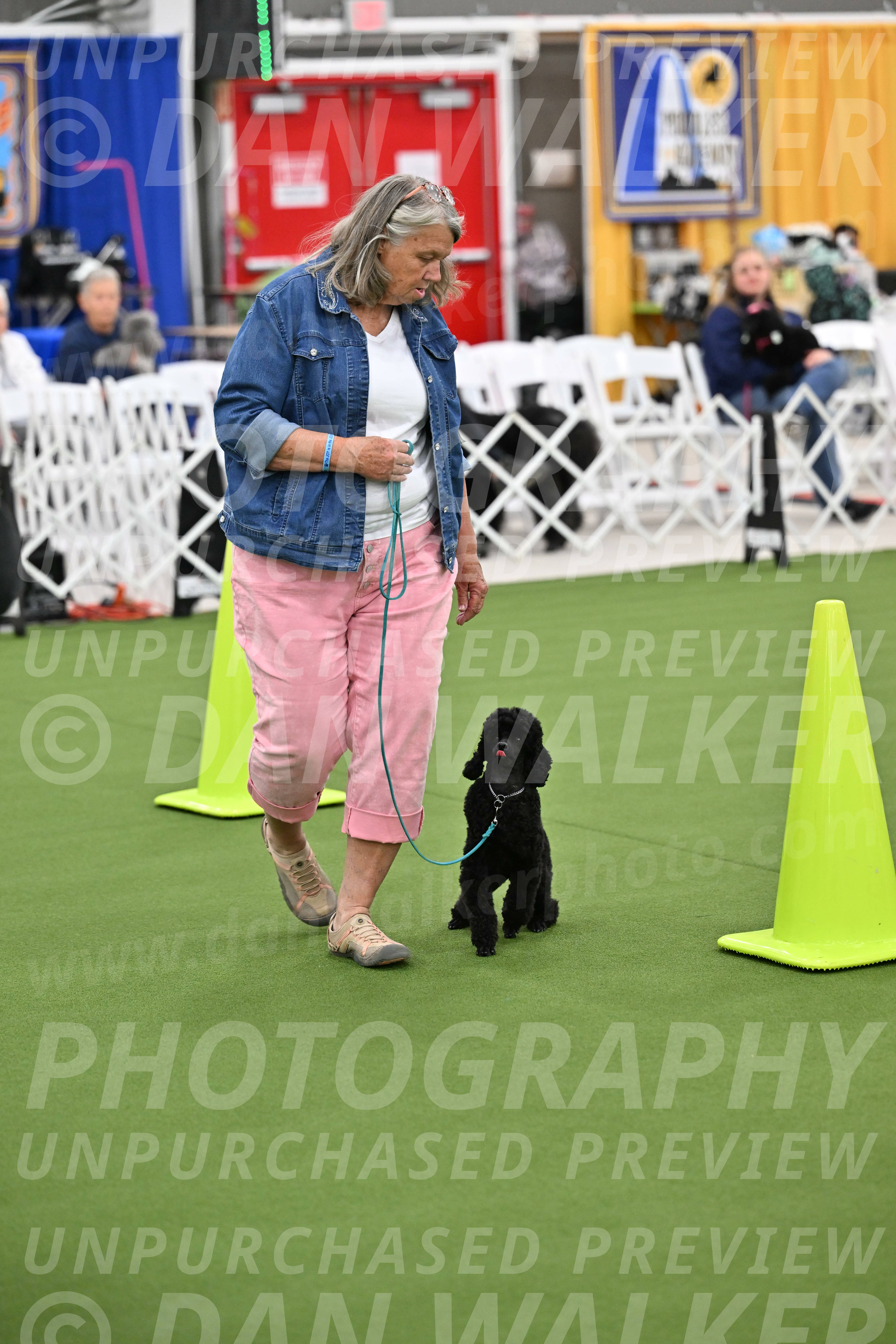 Ring-3-Afternoon-Obedience_2350