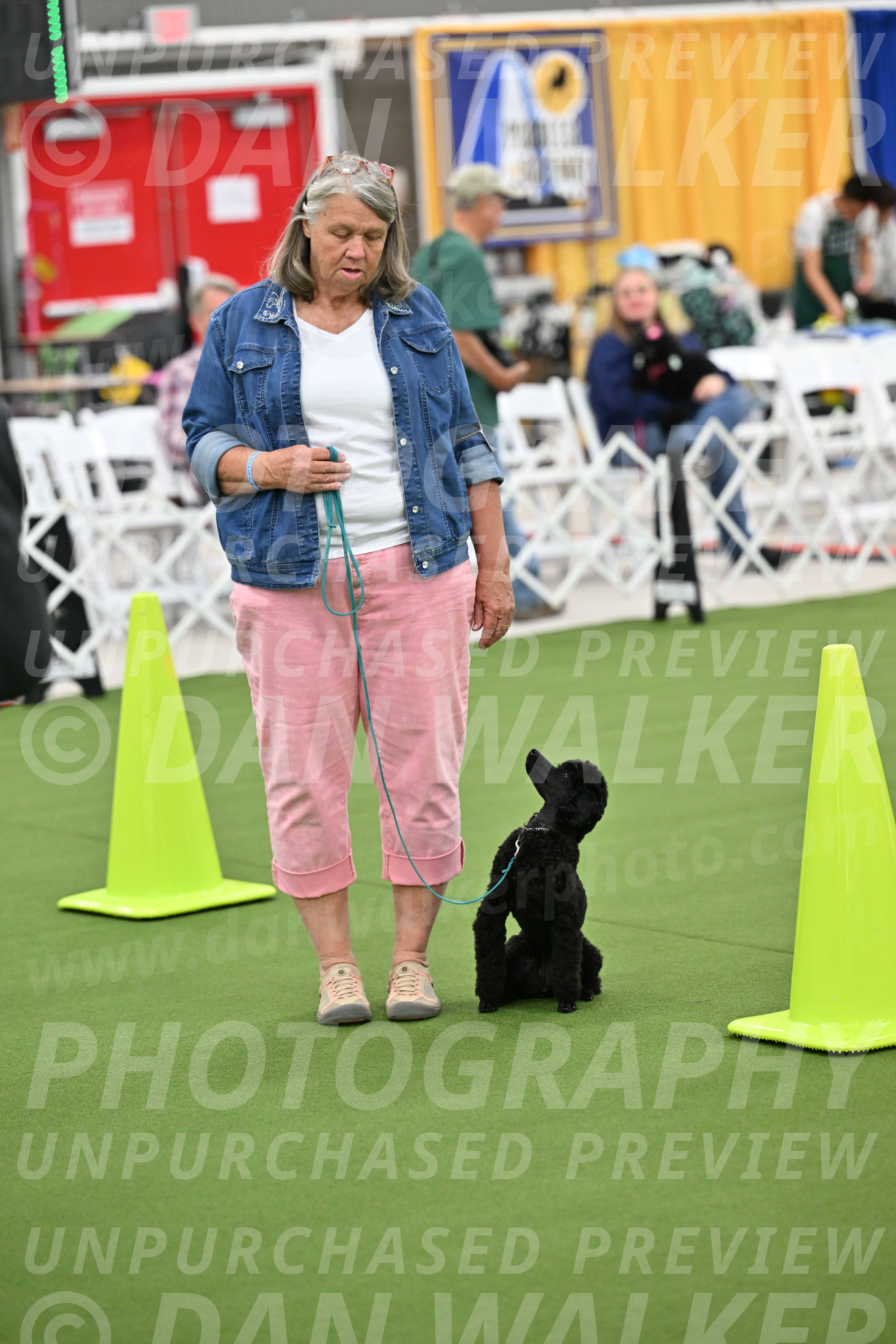 Ring-3-Afternoon-Obedience_2353