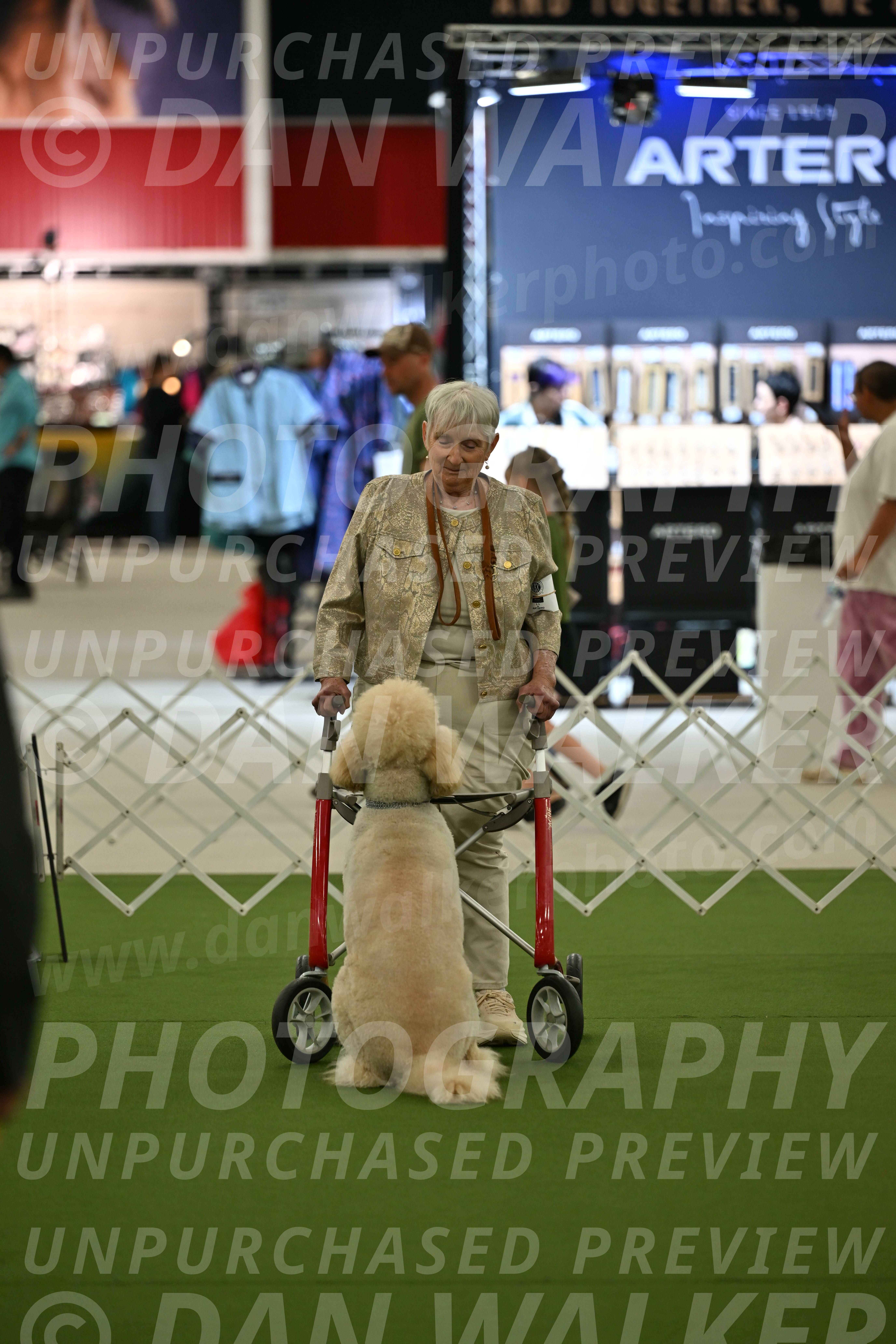 Ring-3-Afternoon-Obedience_2386