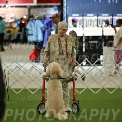 Ring-3-Afternoon-Obedience_2386