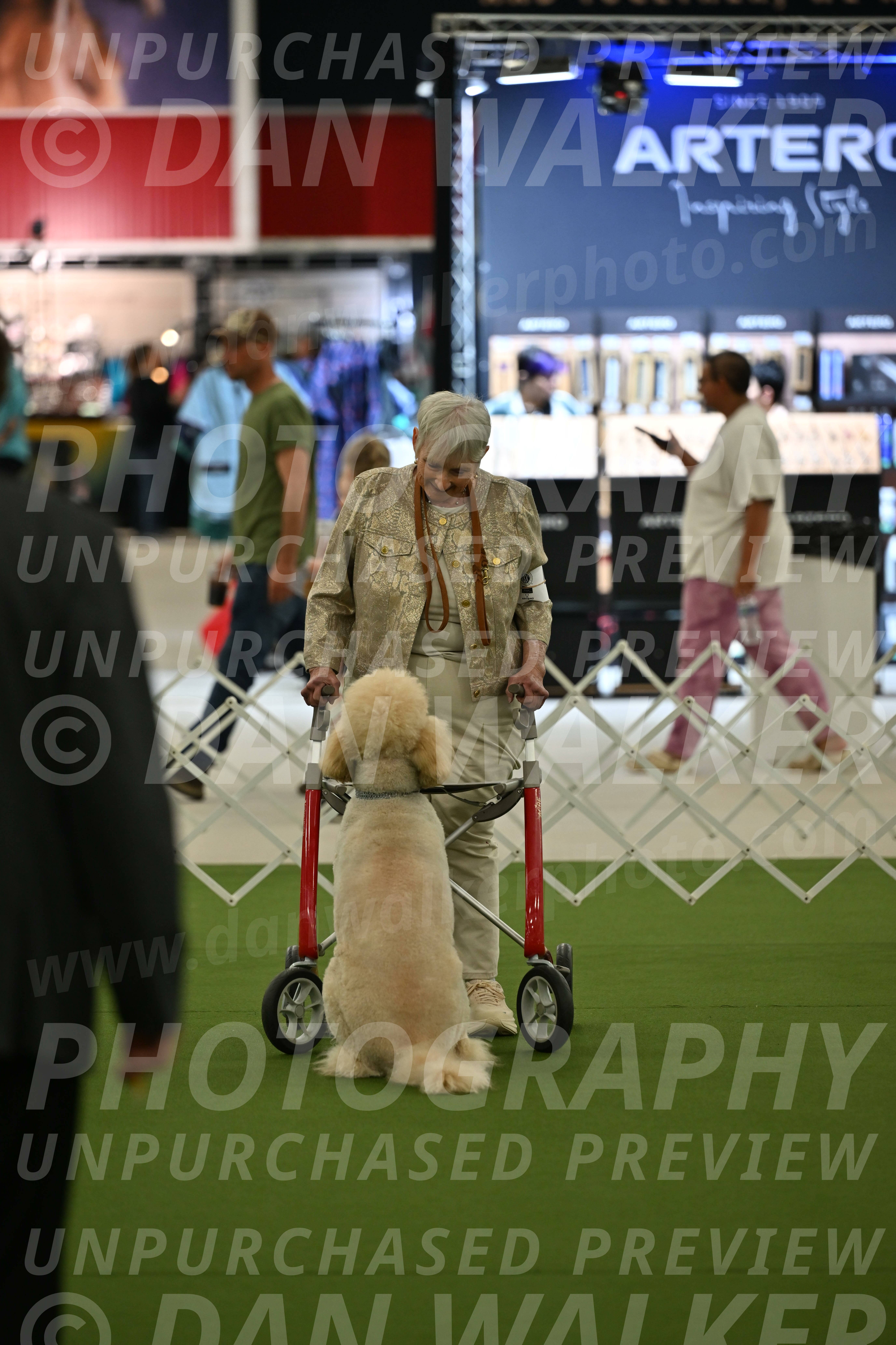 Ring-3-Afternoon-Obedience_2388