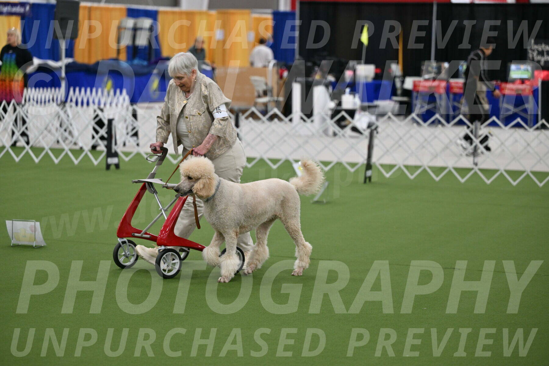 Ring-3-Afternoon-Obedience_2389