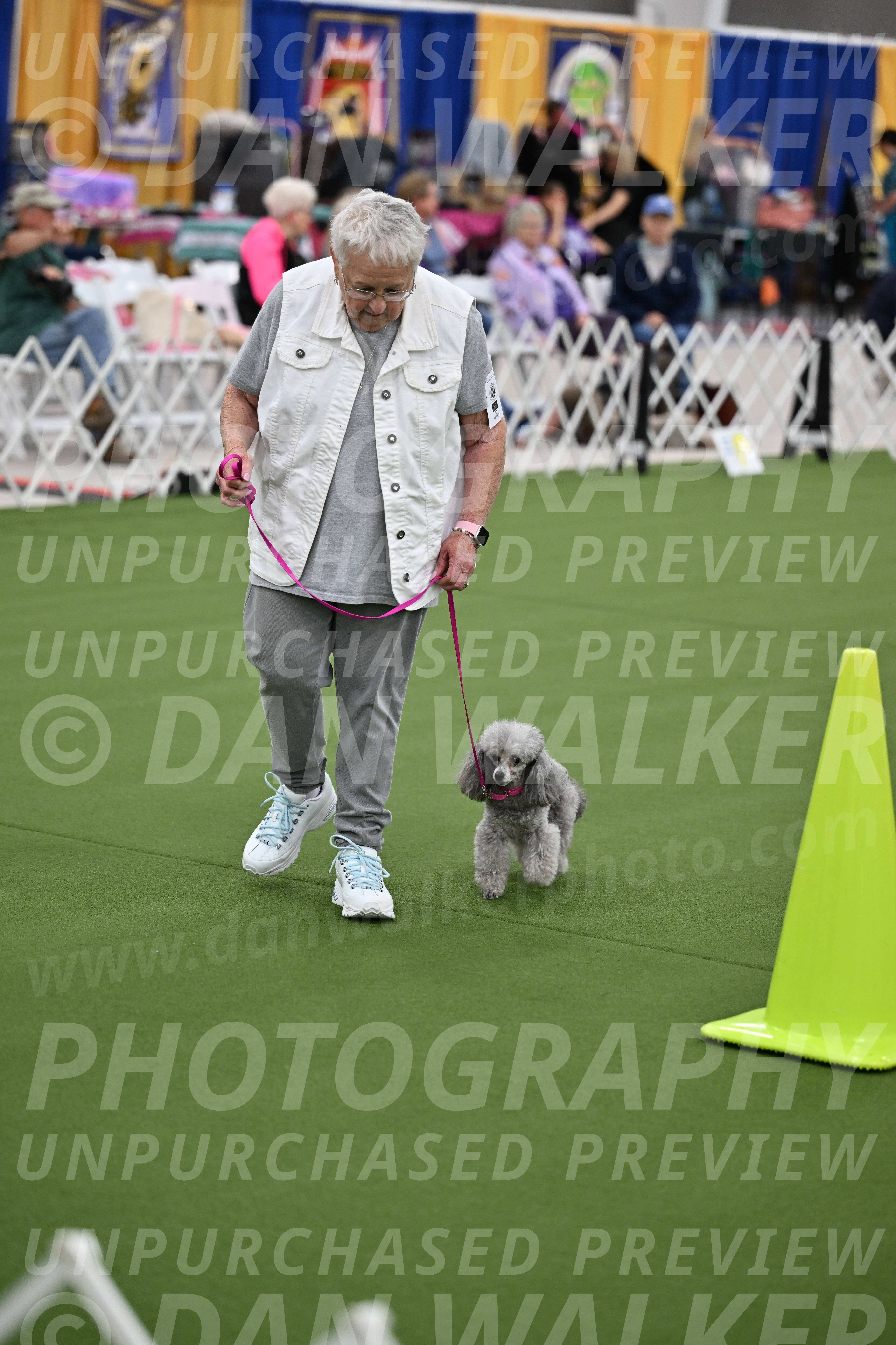 Ring-3-Afternoon-Obedience_2397