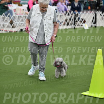 Ring-3-Afternoon-Obedience_2397