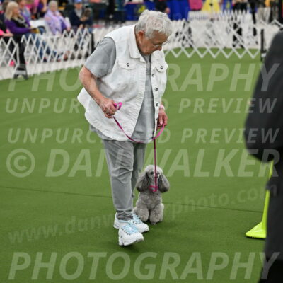 Ring-3-Afternoon-Obedience_2399