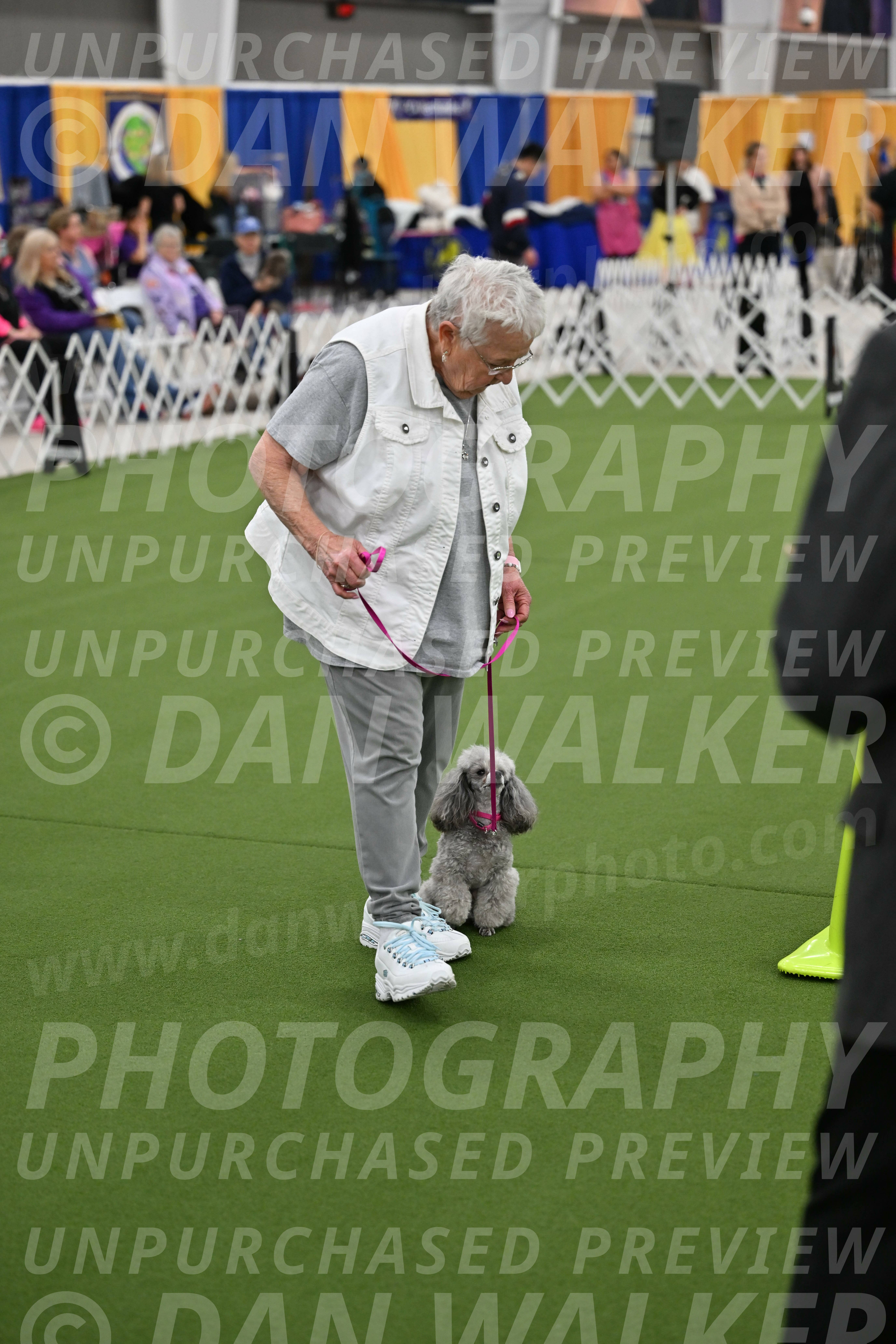 Ring-3-Afternoon-Obedience_2399