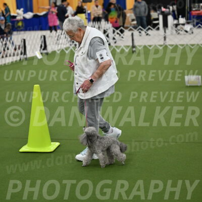 Ring-3-Afternoon-Obedience_2400