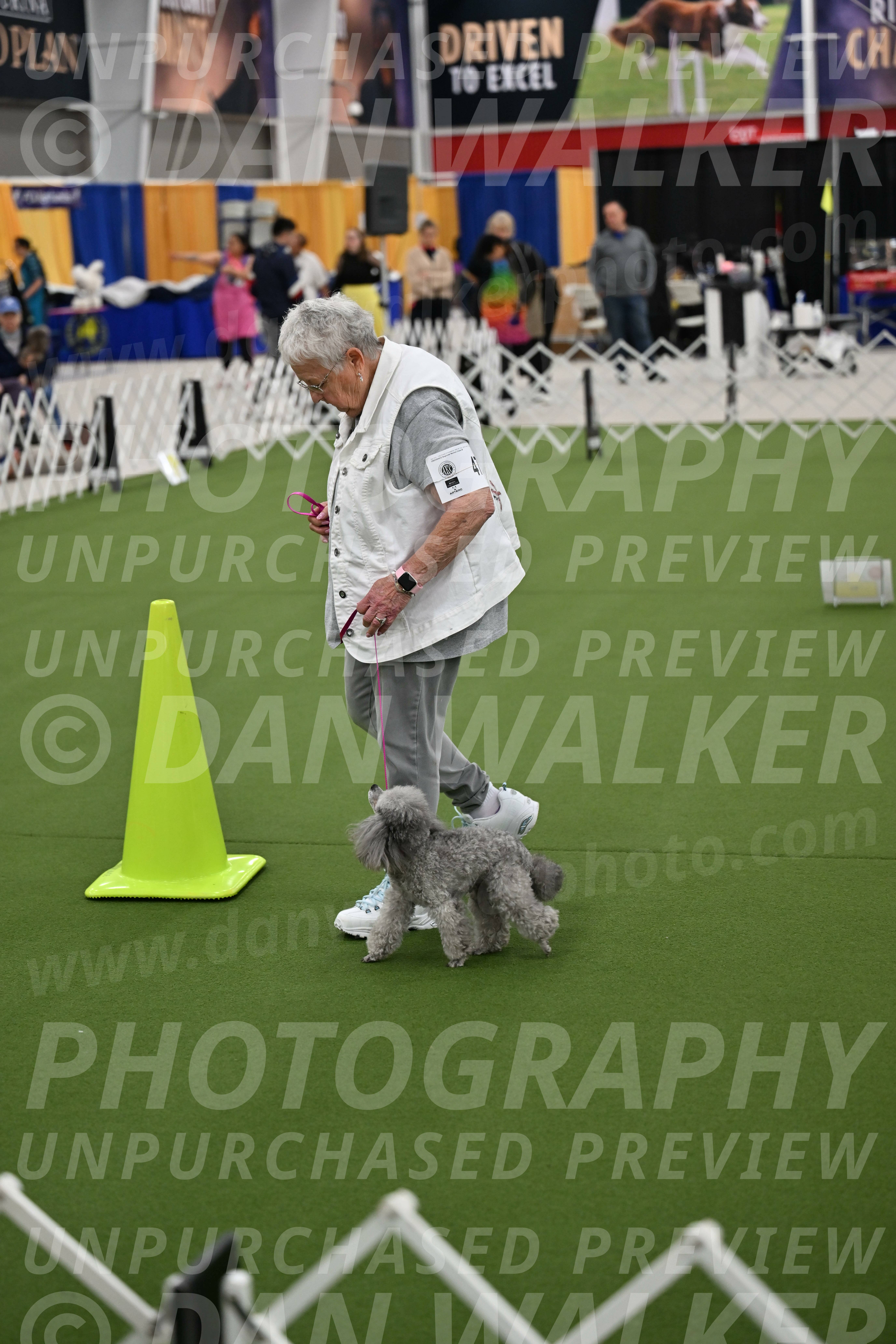 Ring-3-Afternoon-Obedience_2400