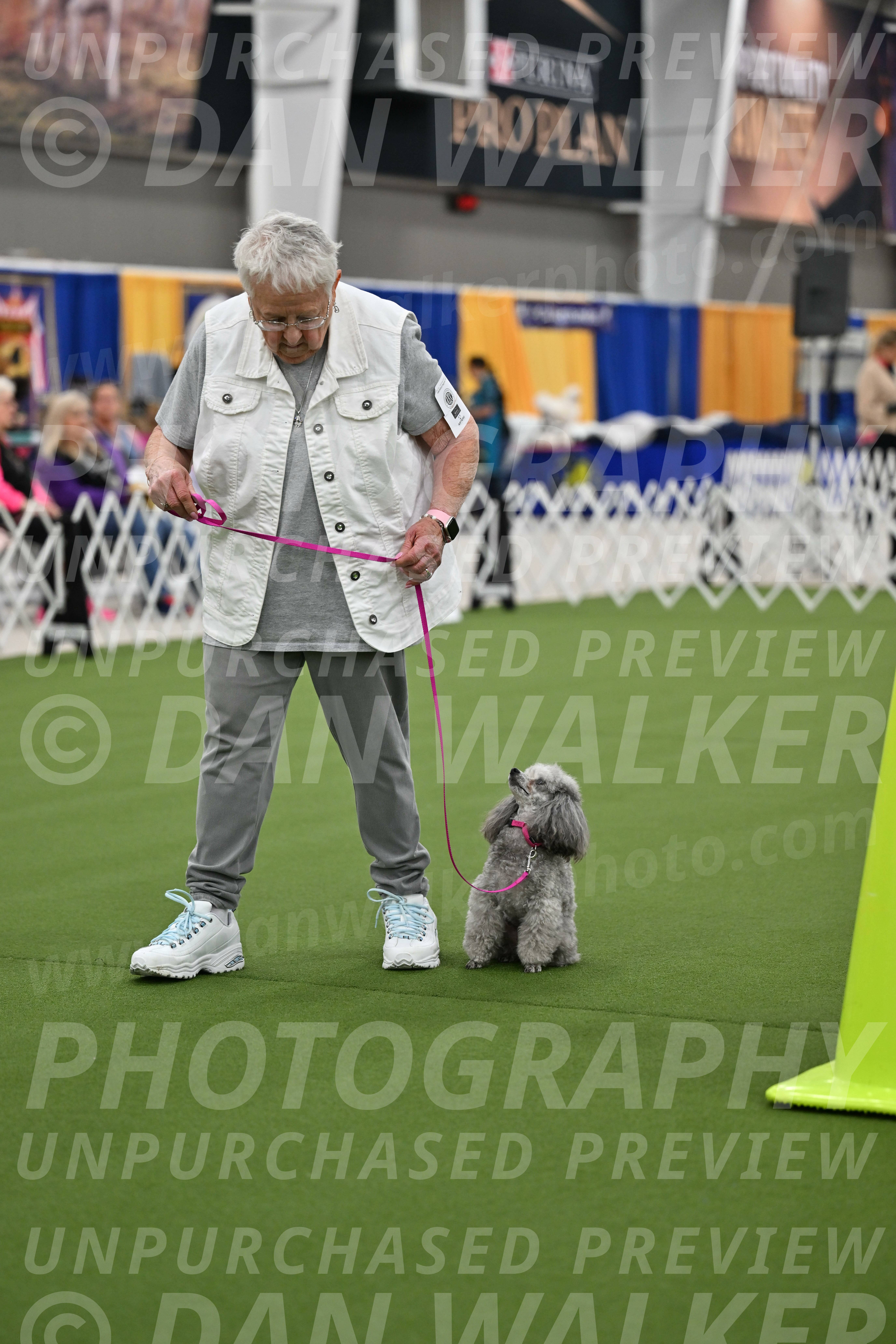 Ring-3-Afternoon-Obedience_2402