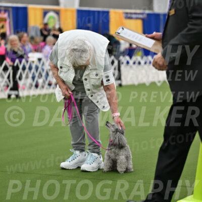 Ring-3-Afternoon-Obedience_2409