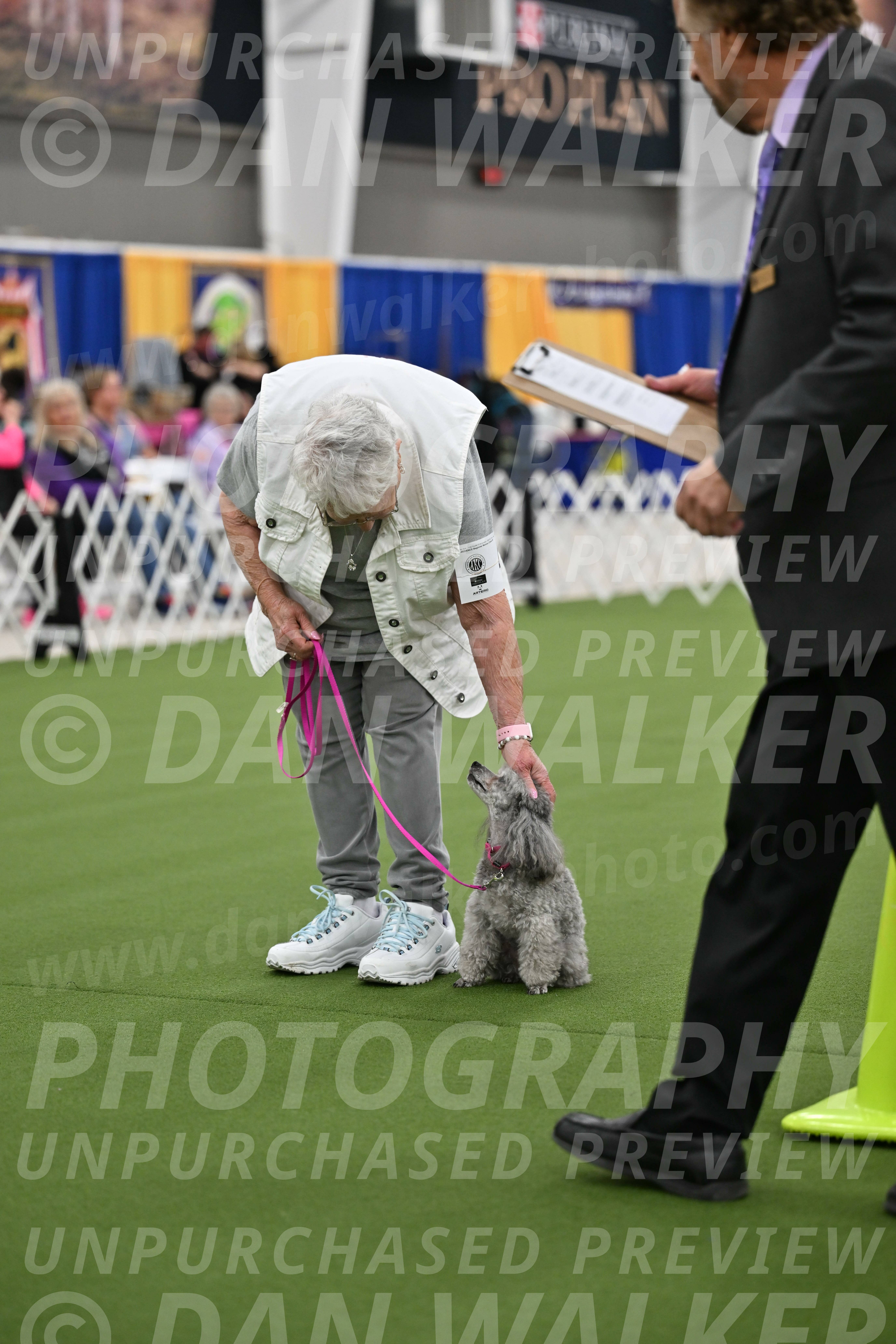 Ring-3-Afternoon-Obedience_2409