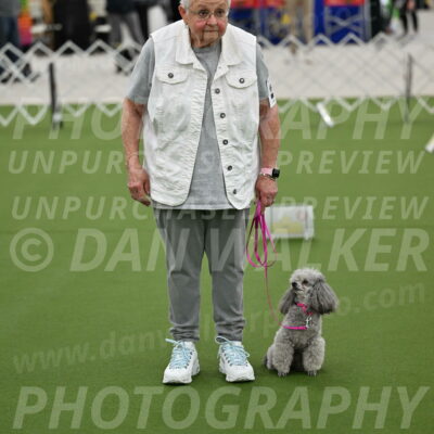 Ring-3-Afternoon-Obedience_2411