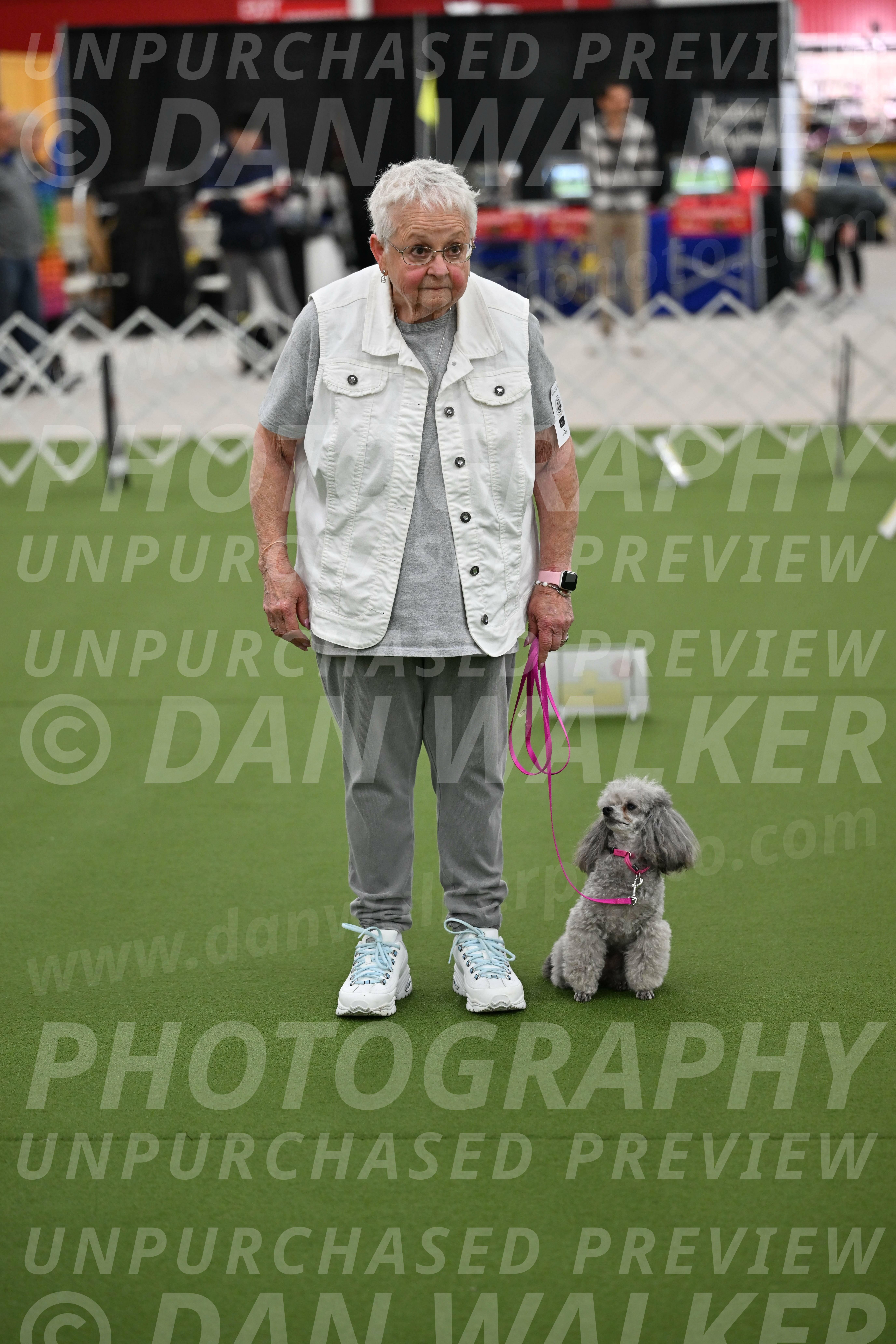 Ring-3-Afternoon-Obedience_2411