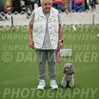 Ring-3-Afternoon-Obedience_2413