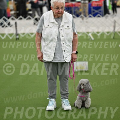 Ring-3-Afternoon-Obedience_2415