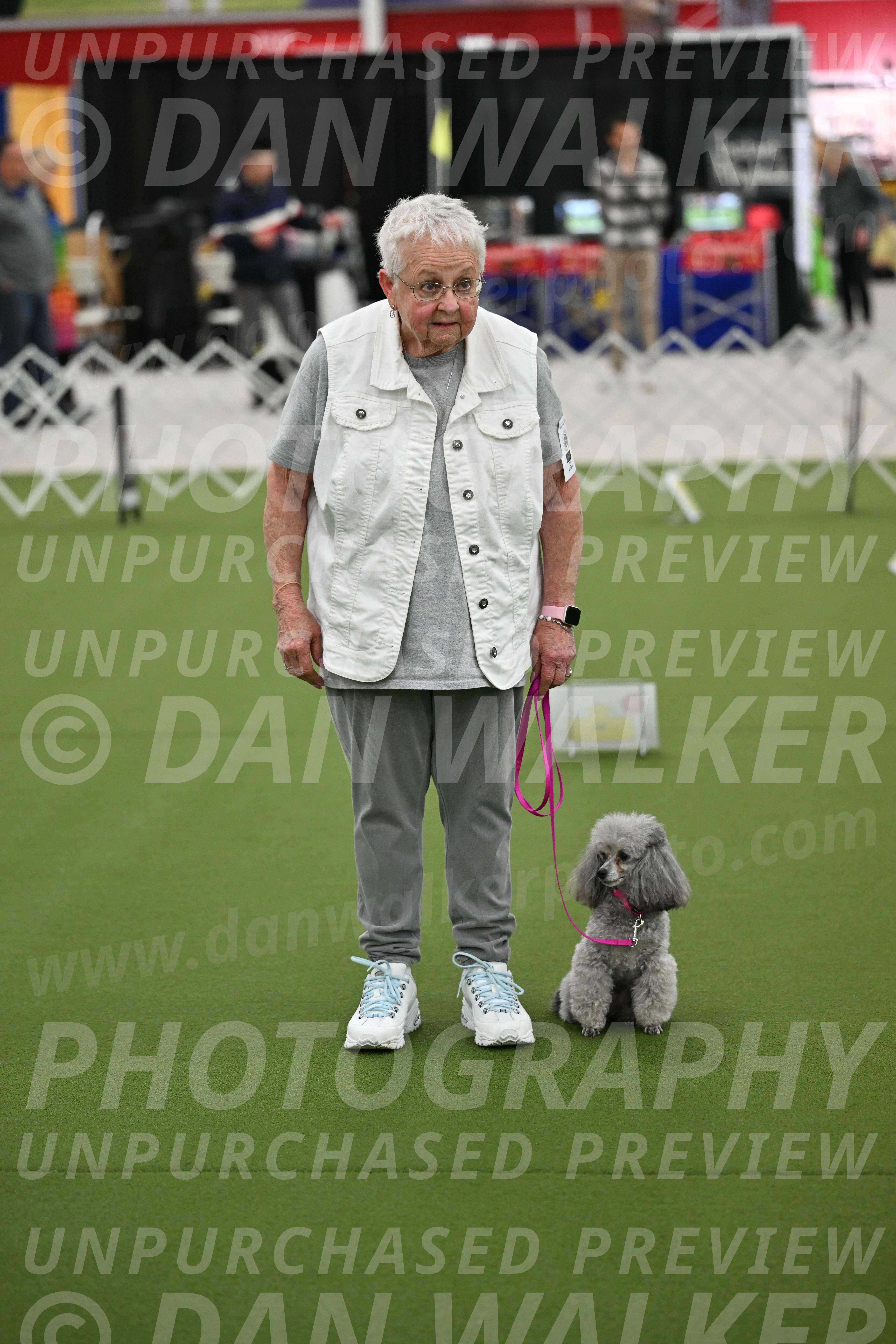 Ring-3-Afternoon-Obedience_2415