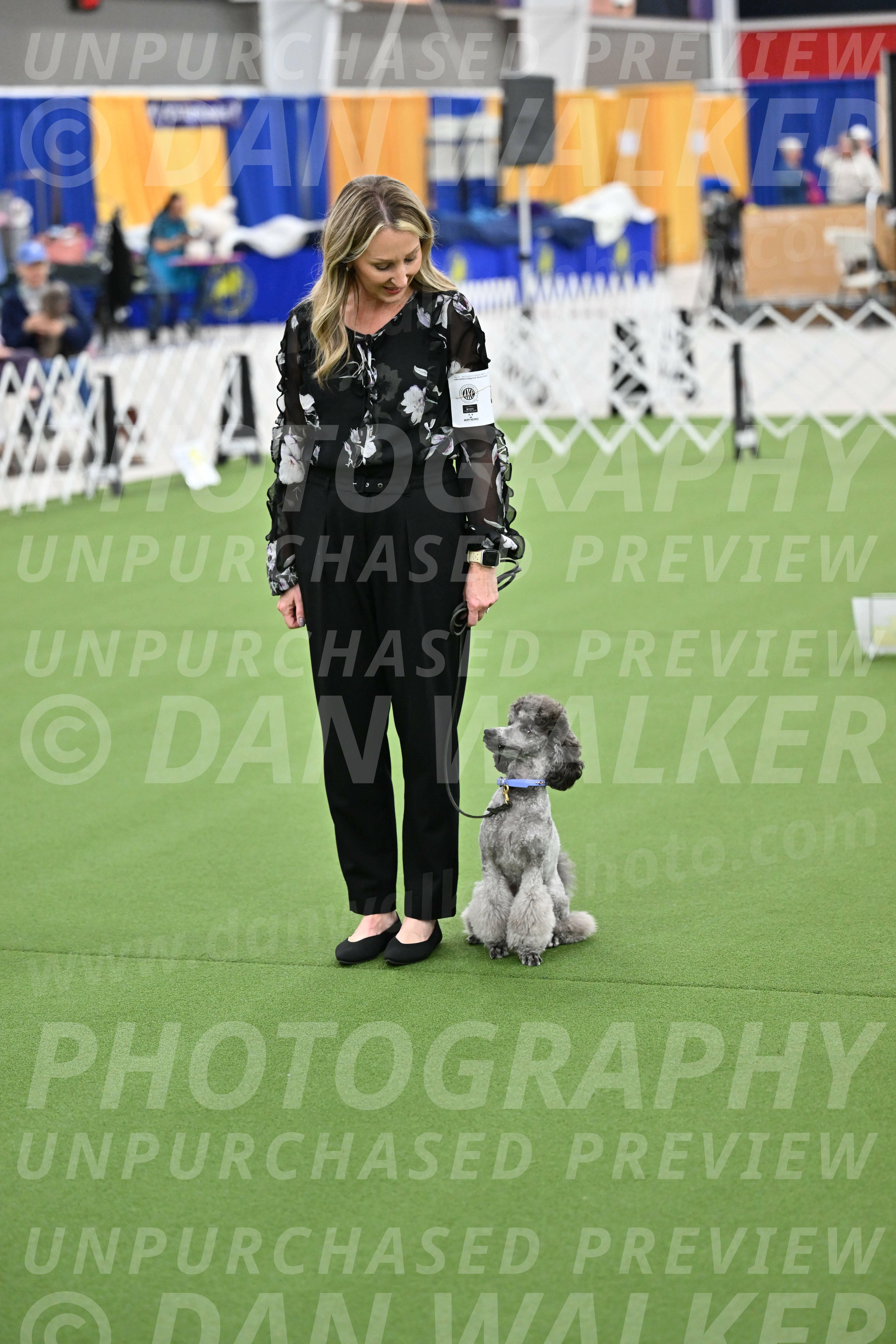 Ring-3-Afternoon-Obedience_2423