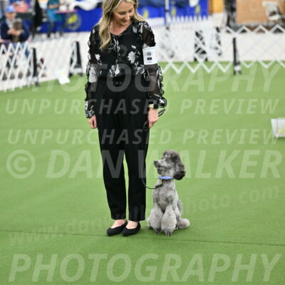 Ring-3-Afternoon-Obedience_2423