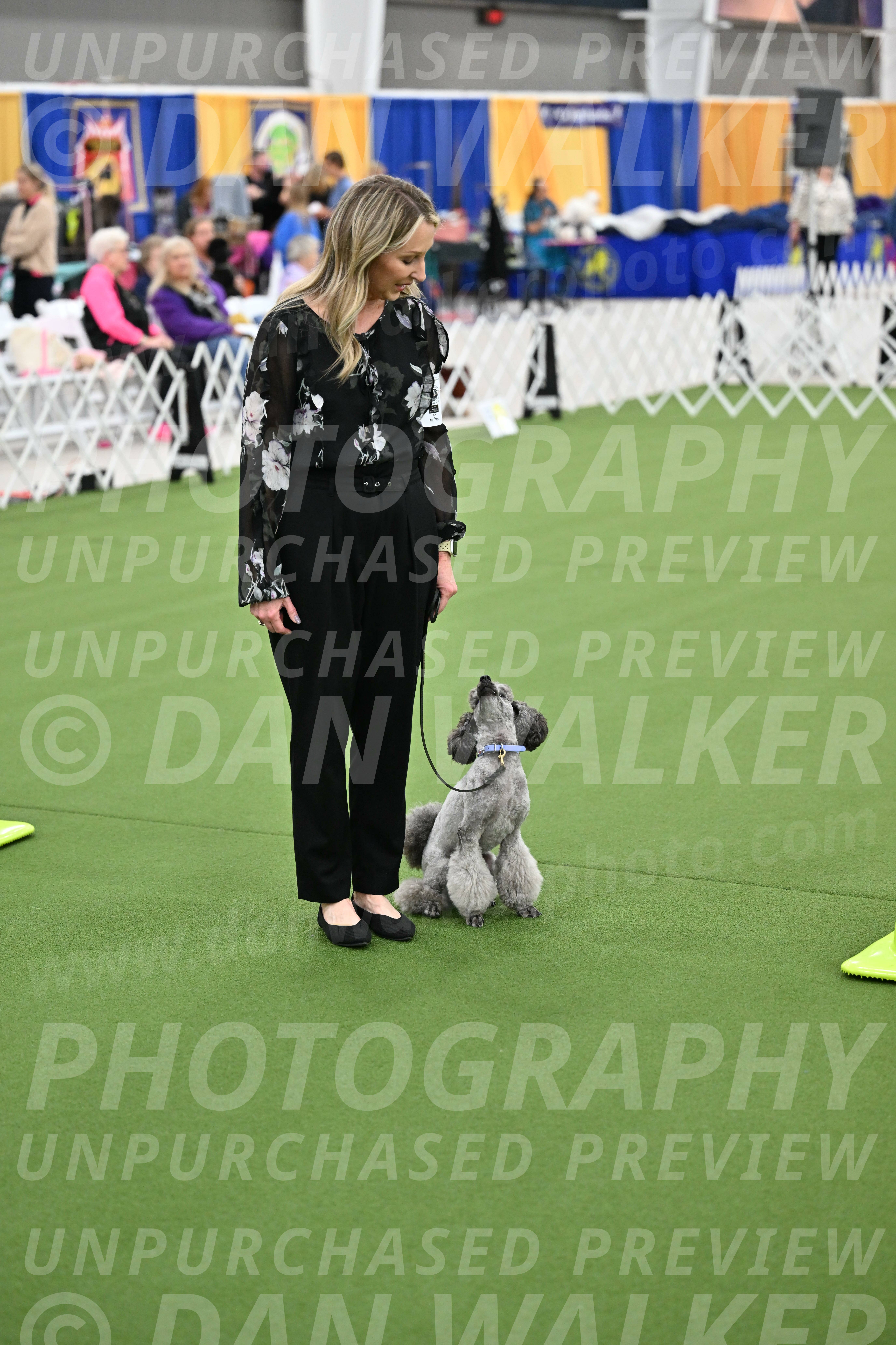 Ring-3-Afternoon-Obedience_2428