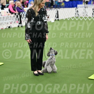 Ring-3-Afternoon-Obedience_2428