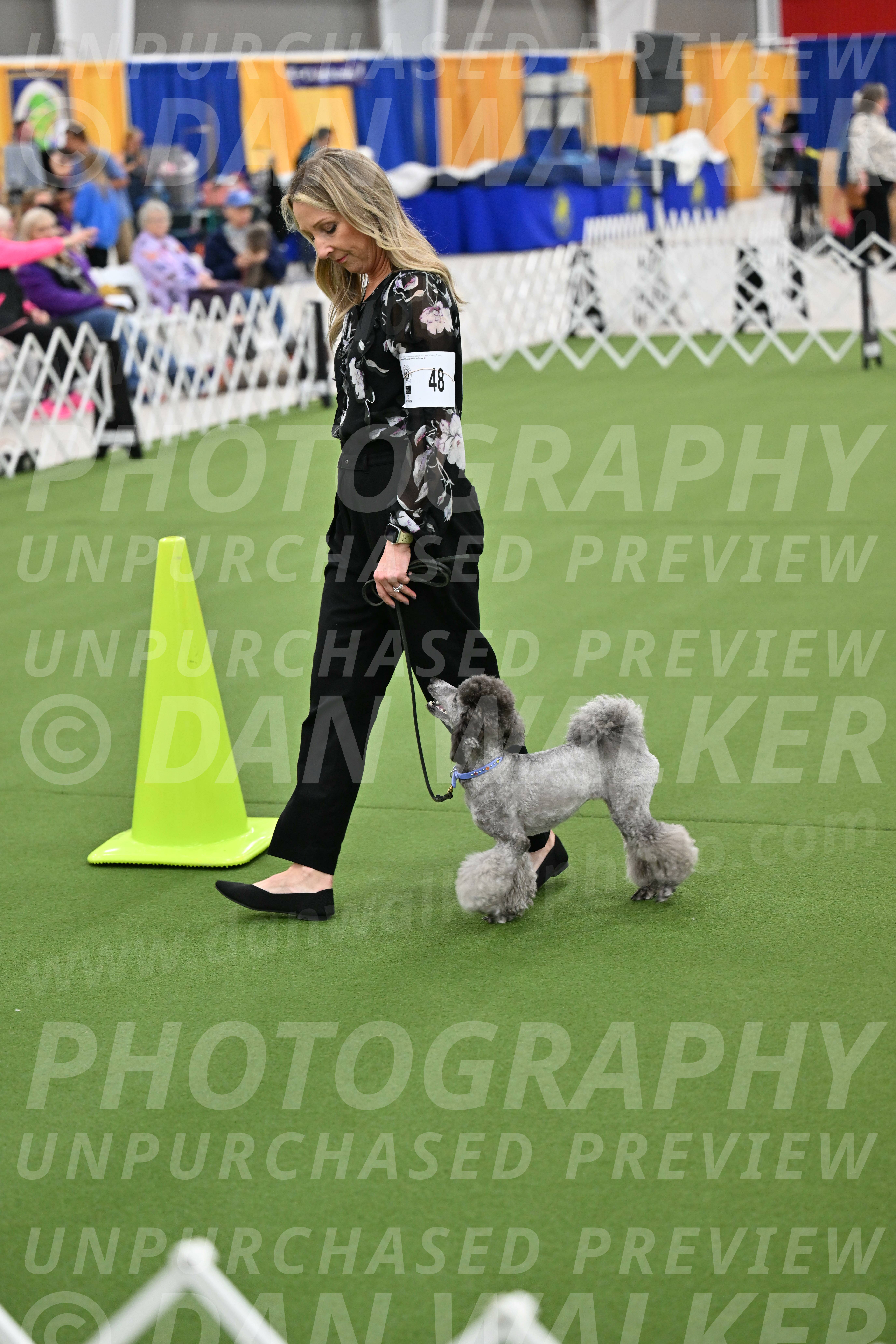 Ring-3-Afternoon-Obedience_2430