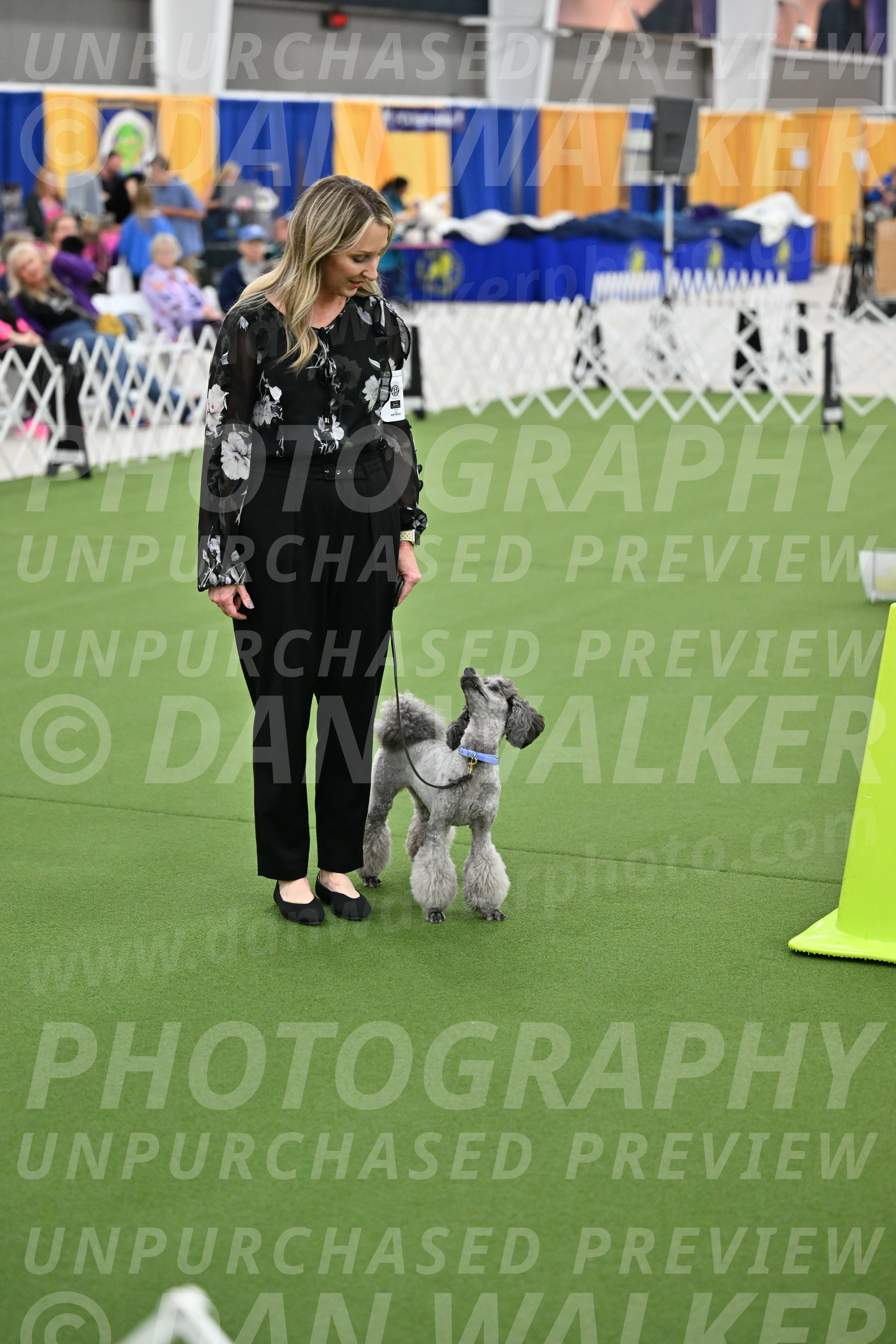 Ring-3-Afternoon-Obedience_2432