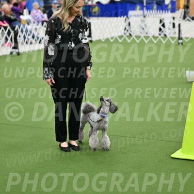 Ring-3-Afternoon-Obedience_2432