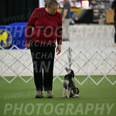 Ring-3-Morning-Obedience_0043