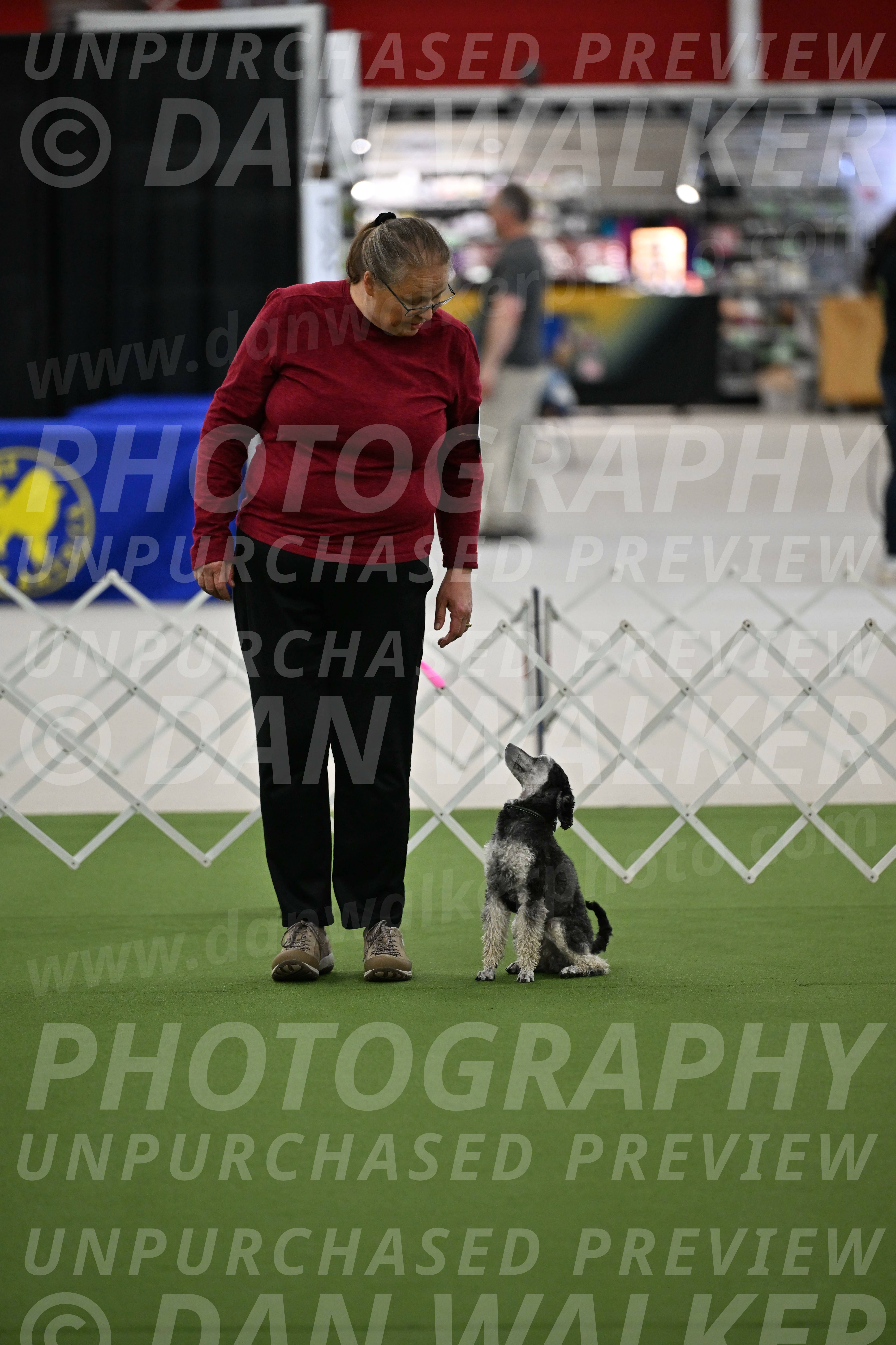 Ring-3-Morning-Obedience_0043