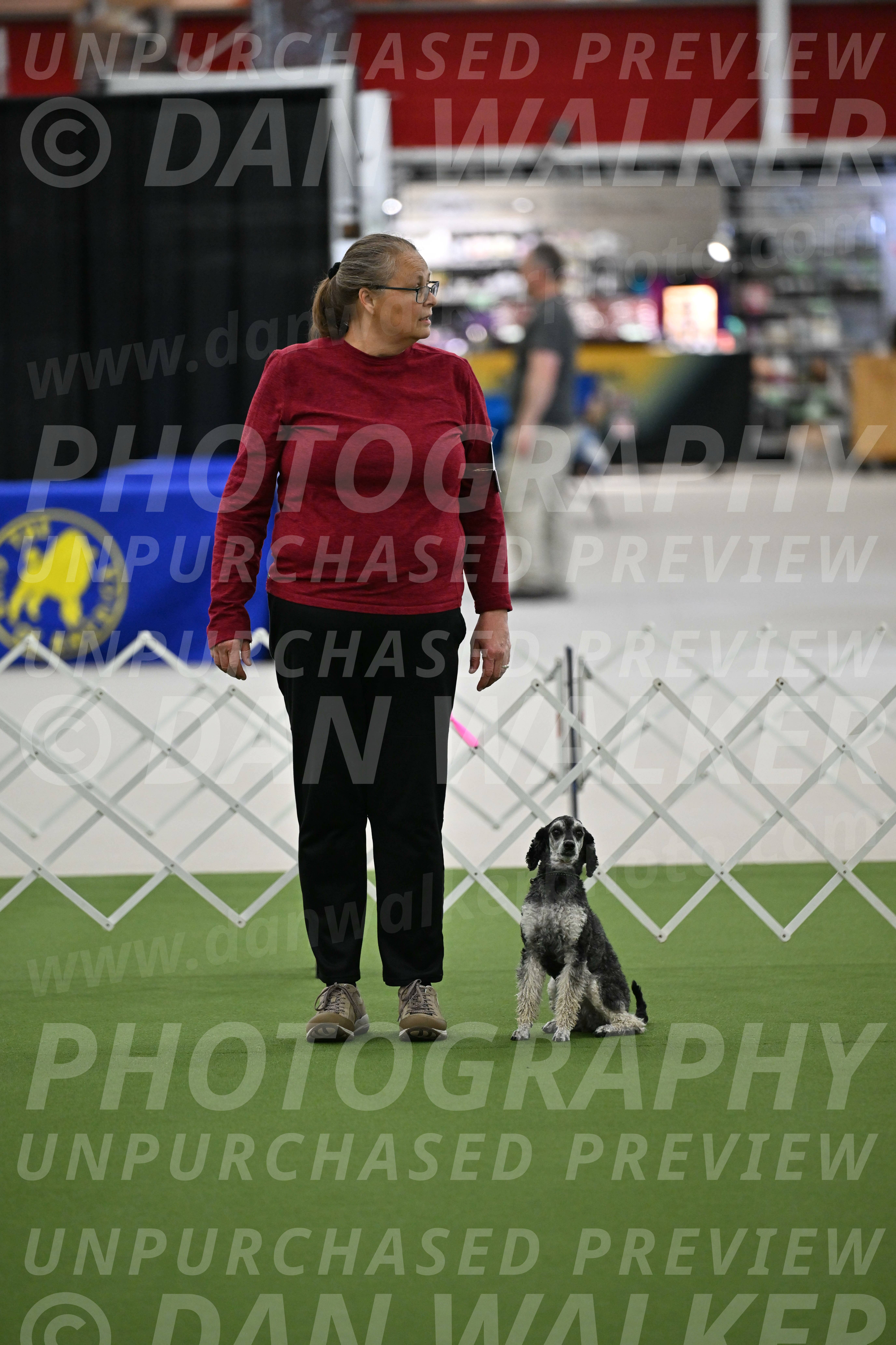 Ring-3-Morning-Obedience_0044