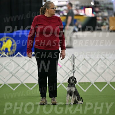 Ring-3-Morning-Obedience_0044