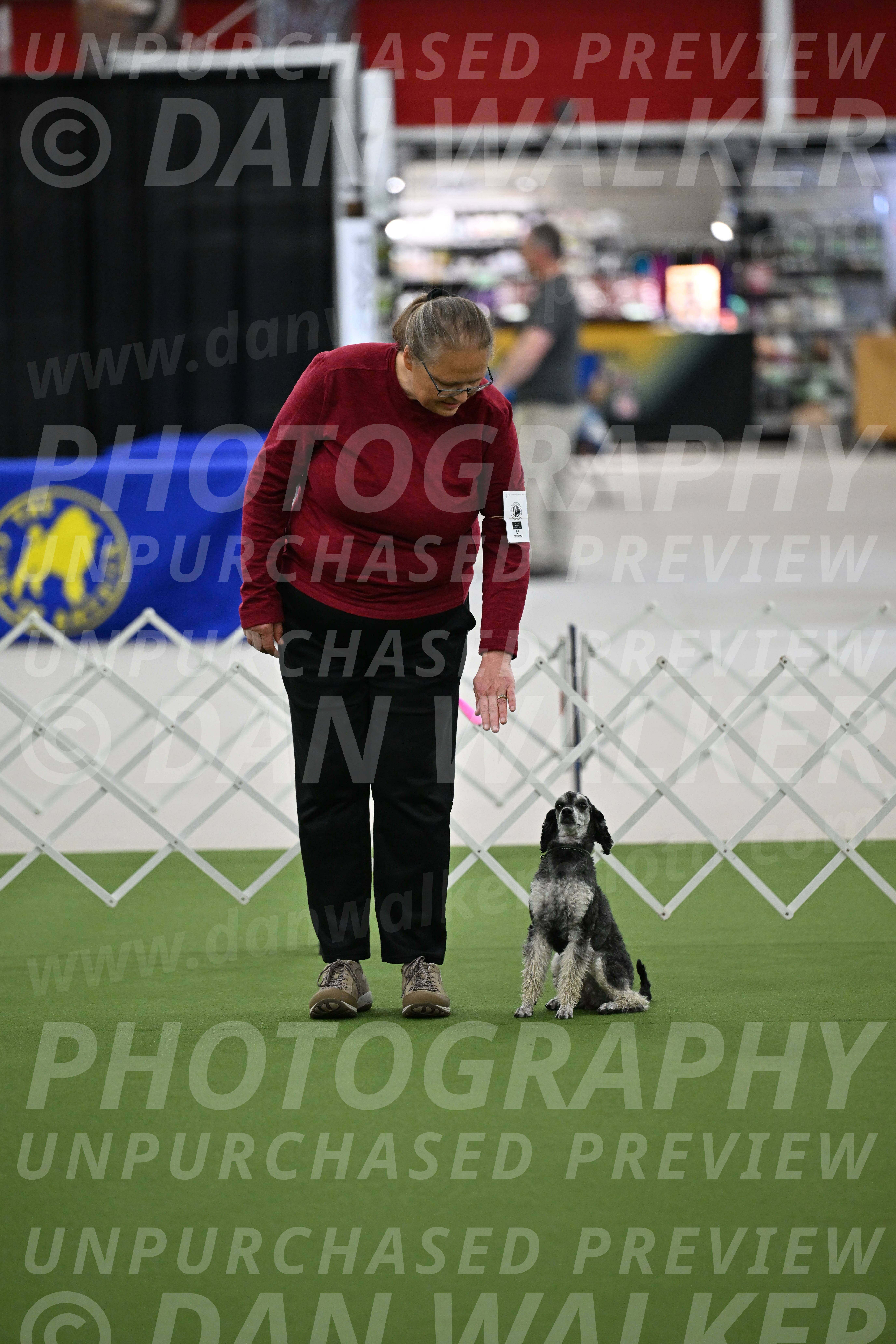 Ring-3-Morning-Obedience_0048