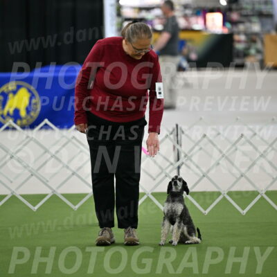 Ring-3-Morning-Obedience_0048